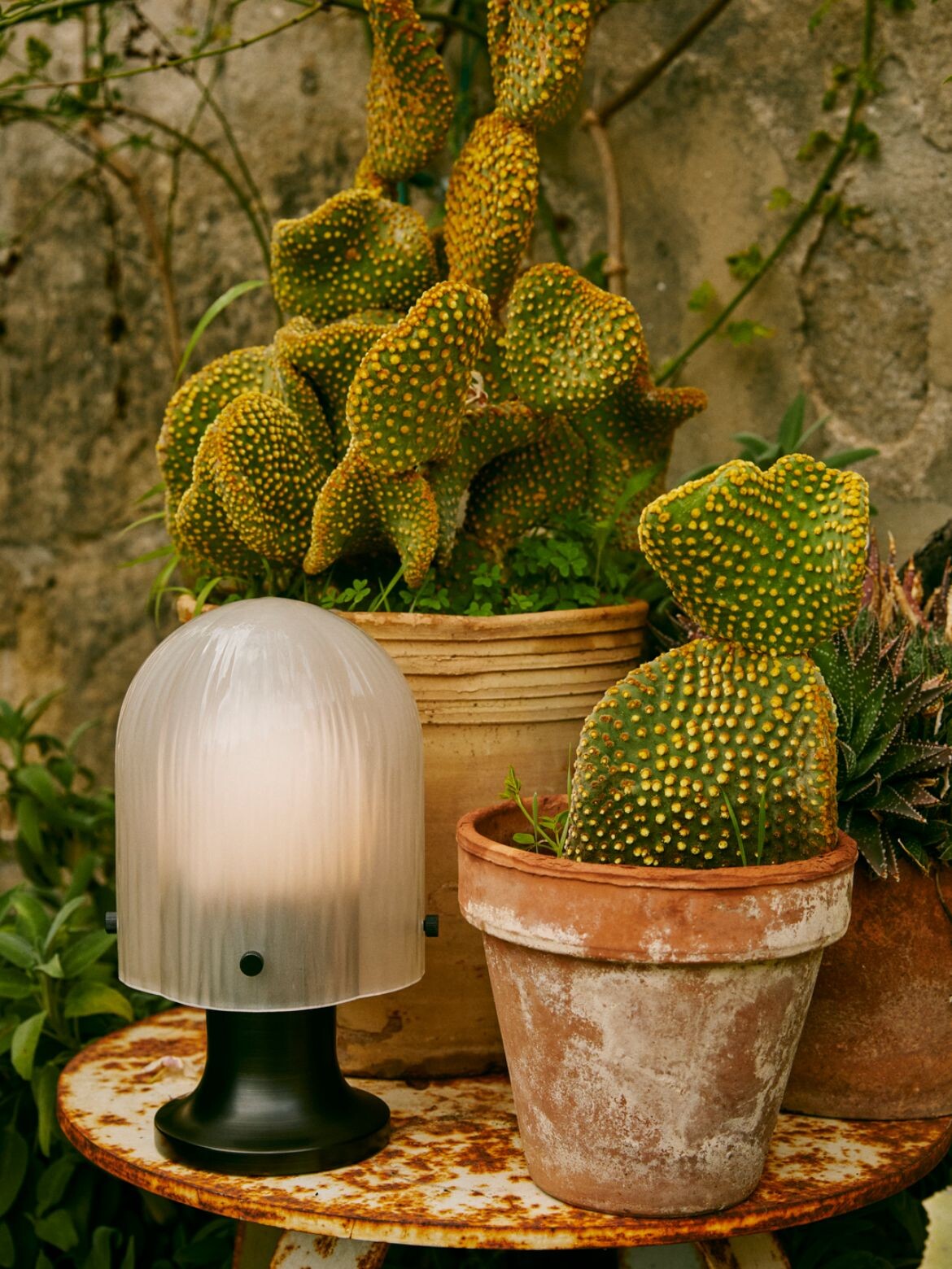 Gubi grand! | IndesignLive-4