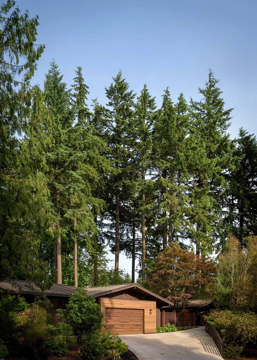 波特兰世纪中期住宅的现代艺术升级-26