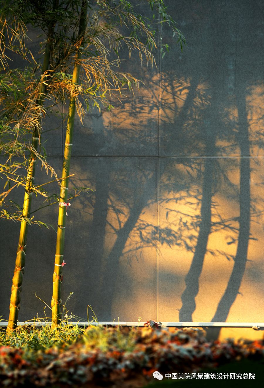 朝凤路景观改造提升 | 自然与城市的和谐共生-36