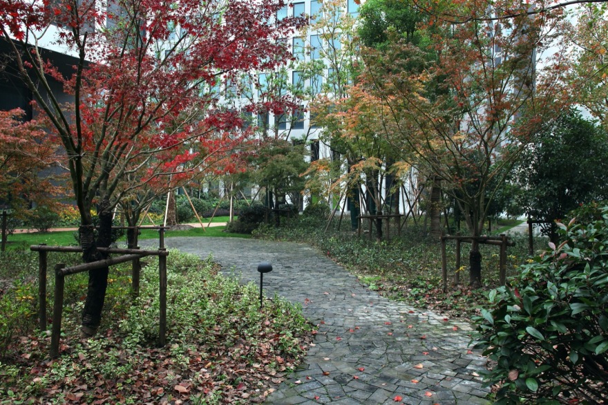 上海张江校区景观-25