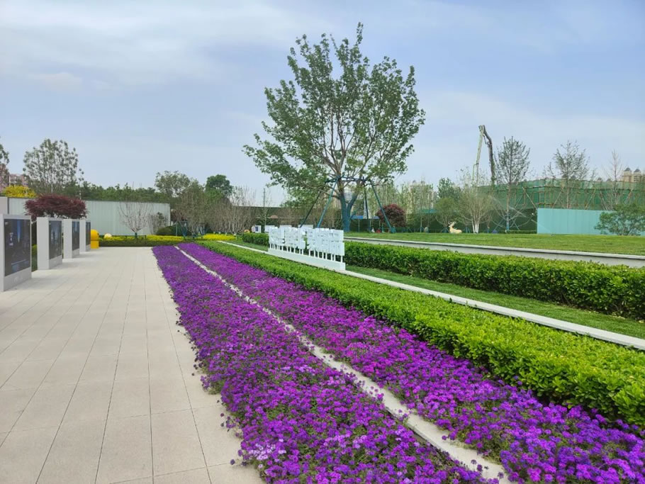 绿城·桂语听澜丨中国河北丨九易庄宸科技（集团）股份有限公司,上海大器景观设计有限公司-24