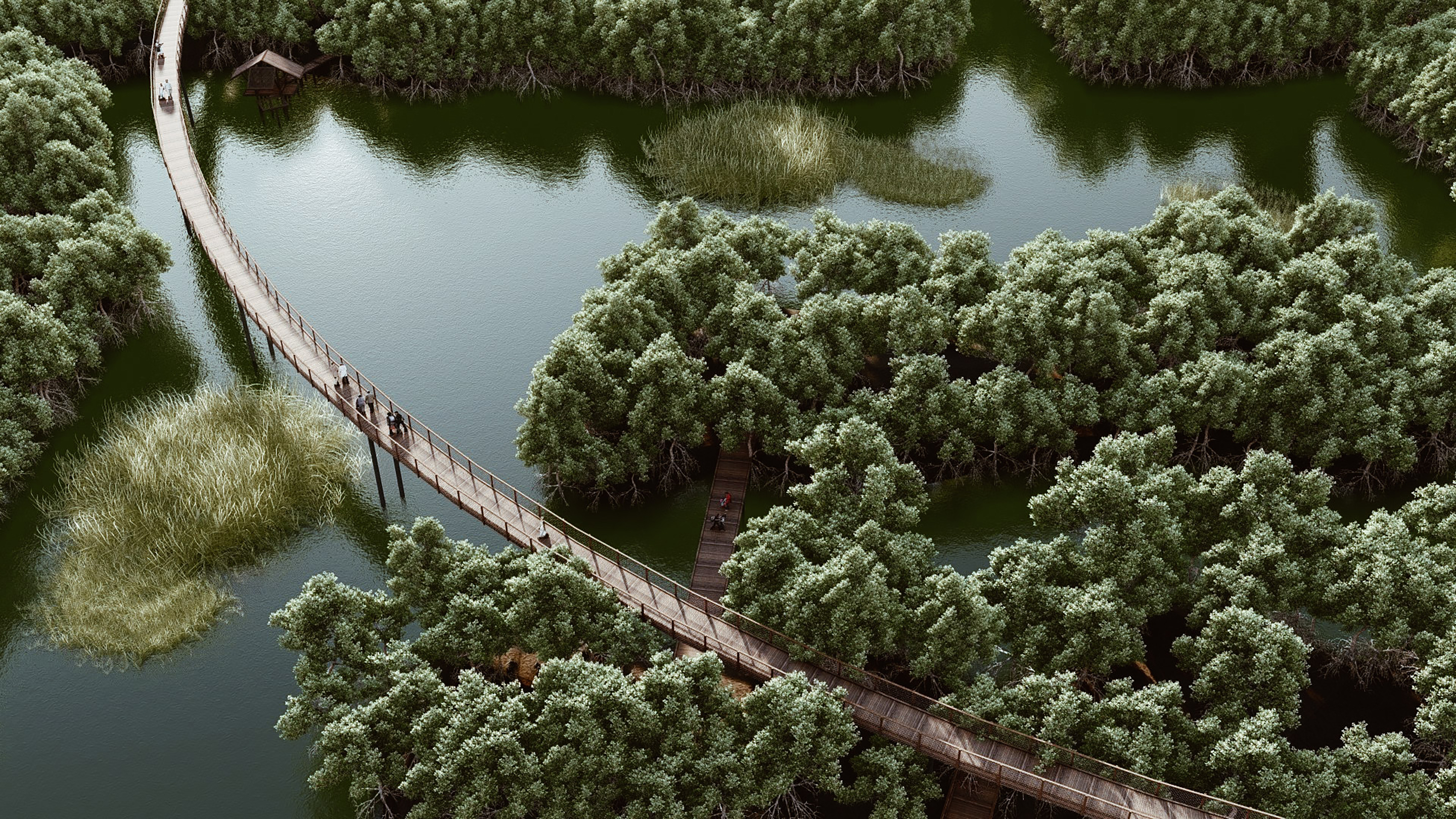 富海红树林生态公园丨越南丨INFINITIVE ARCHITECTURE-33