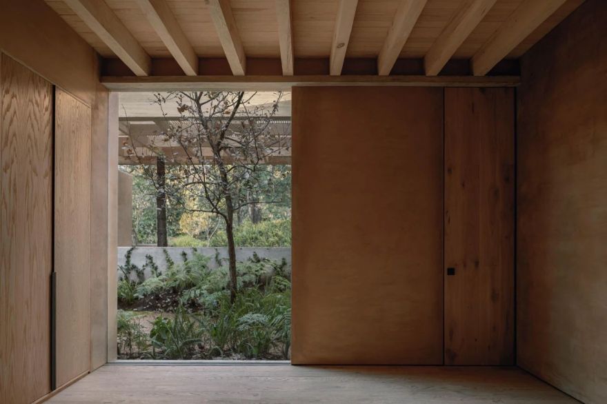 蕨类植物丨墨西哥丨Taller Hector Barroso-18