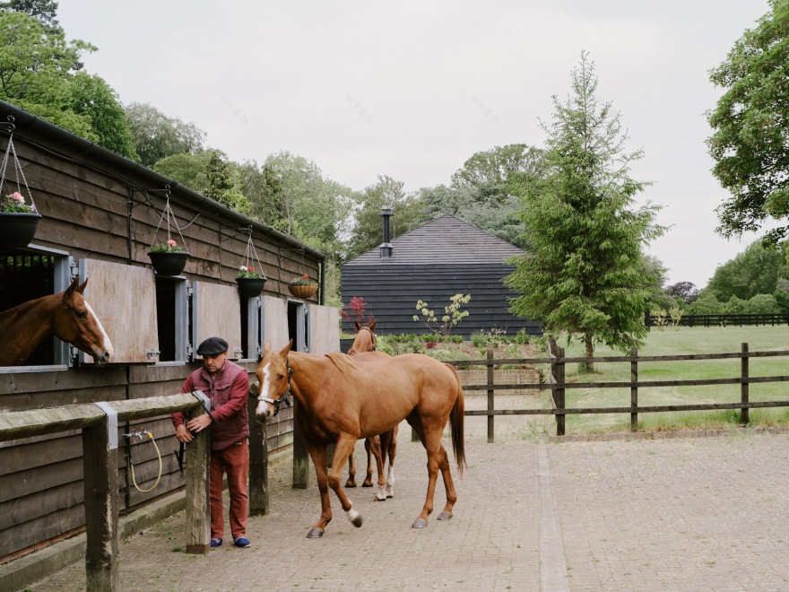 ARC马场丨英国丨Da Costa Mahindroo Architects-97