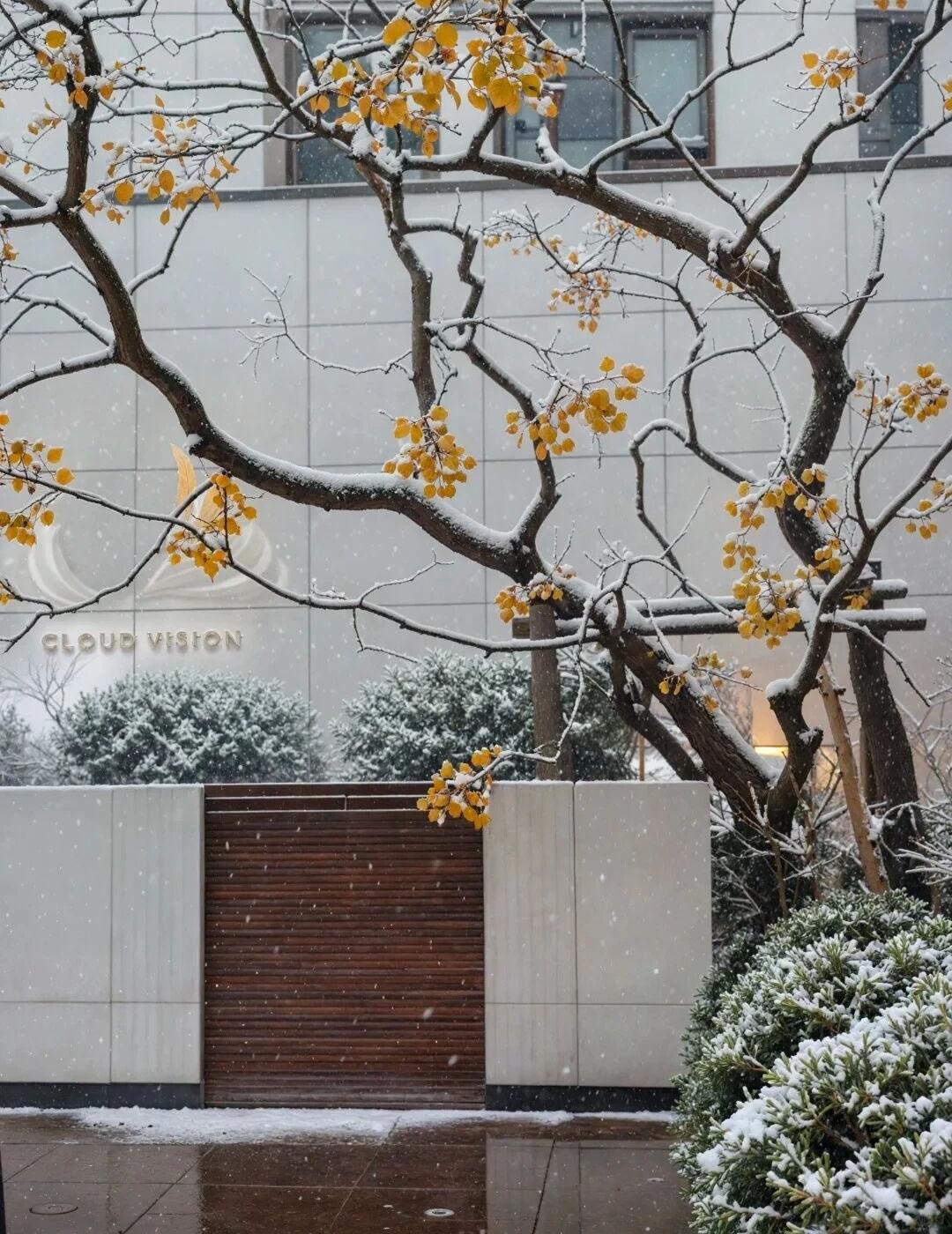 西安华润置地望云营销中心丨中国西安丨CCD郑中设计-4