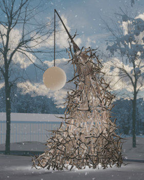 Arkhangelsk自然保护区公园“带真星星的圣诞树”项目