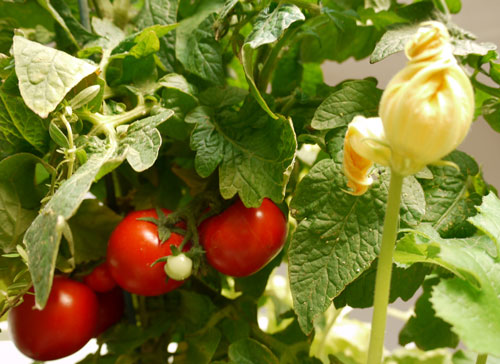 Feedscape: Interactive Installation – AWARE-12