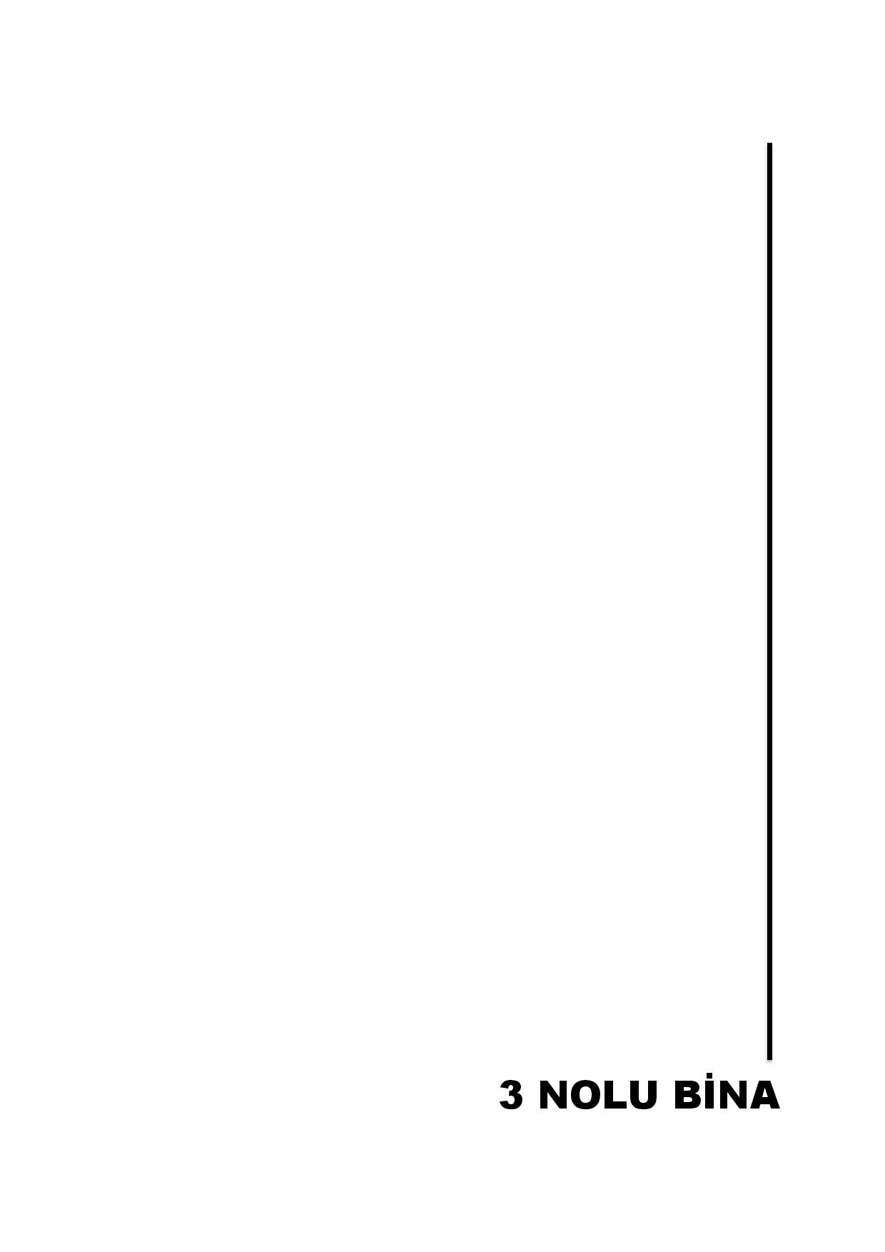 卡米卡高中历史墙保护-4