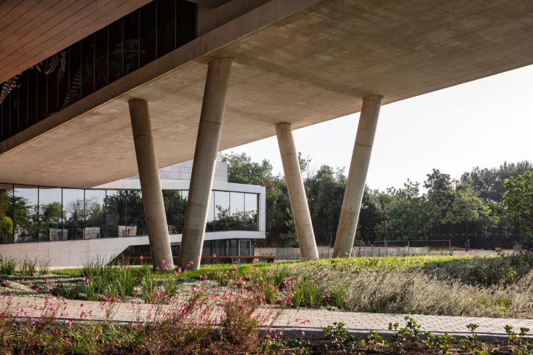 以色列建筑事务所 Kimmel Eshkolot 的杰出设计-49