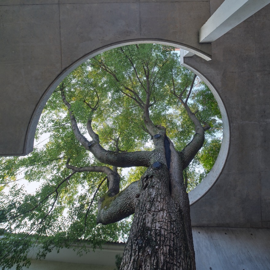 长沙陈宅丨中国长沙丨以靠建筑Leeko Architects-47