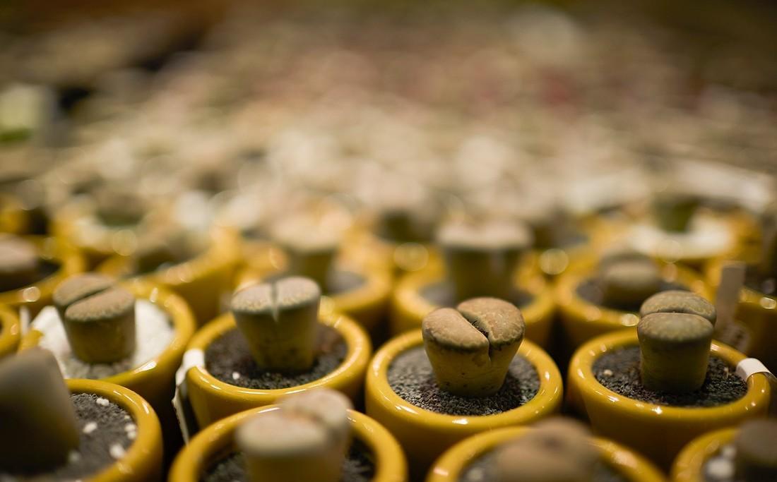 鹿岛生活丨集嘉设计-42