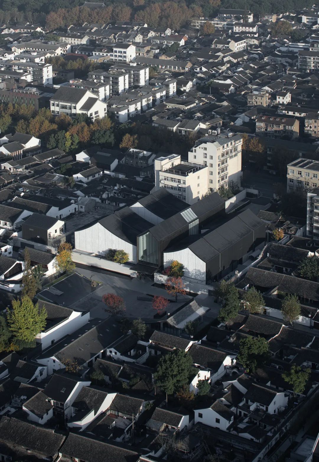 绍兴古城中的艺术空间 | 徐渭艺术馆-51