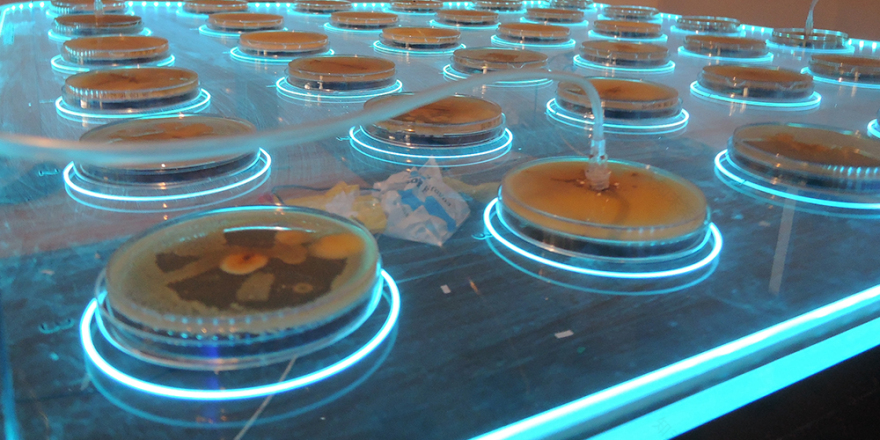 Growing Stadium | Jan Gašpárek-6