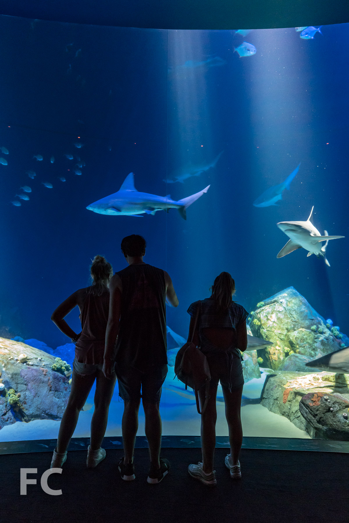 Tour: New York Aquarium — FIELD CONDITION-8