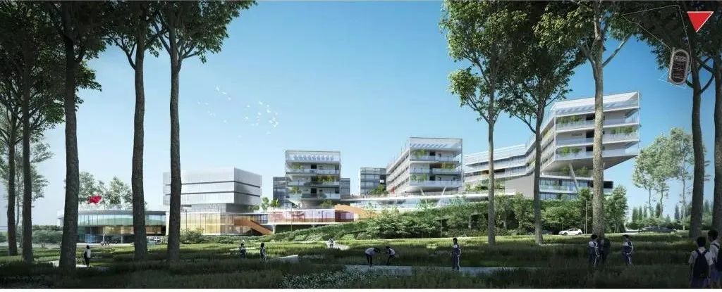 卫城·高中 · 生态友好的绿色校园设计丨中国深圳丨立方都市+库博建筑（联合体）-19