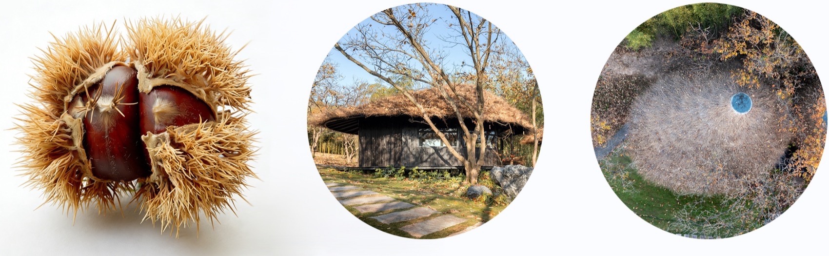 高峰禅寺下的栗林小院丨中国湖州丨平介设计,苏州大学-24