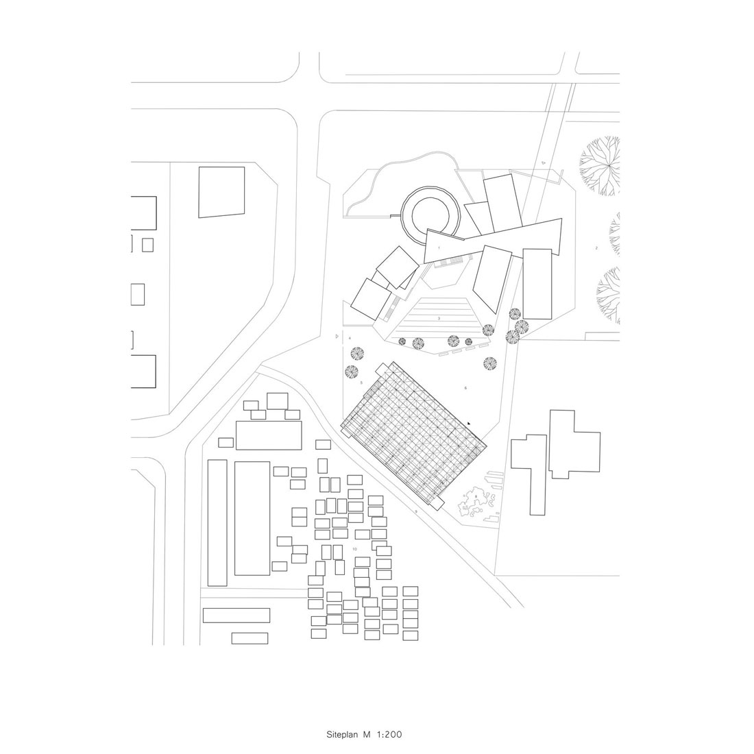 丨南非开普敦-27