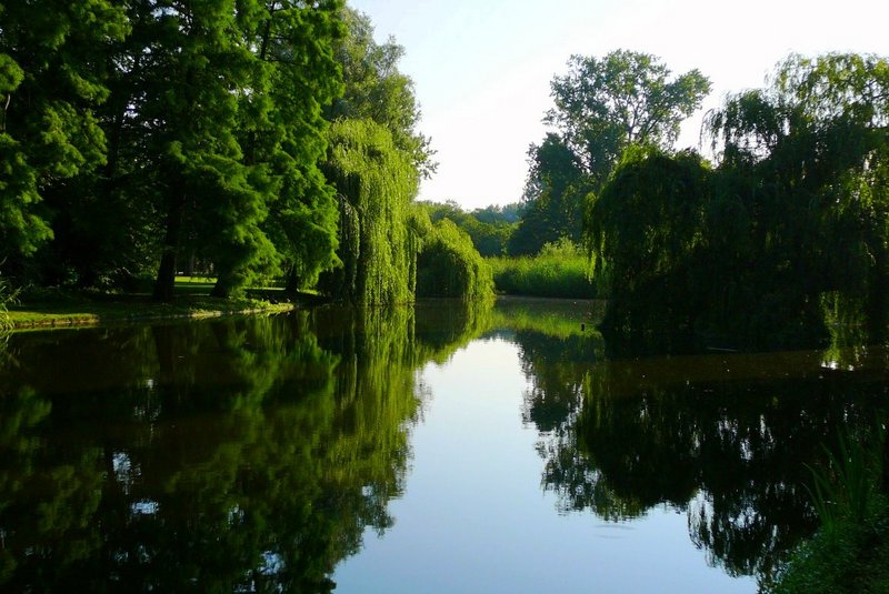 阿姆斯特丹冯德尔公园主入口改造丨荷兰阿姆斯特丹-10