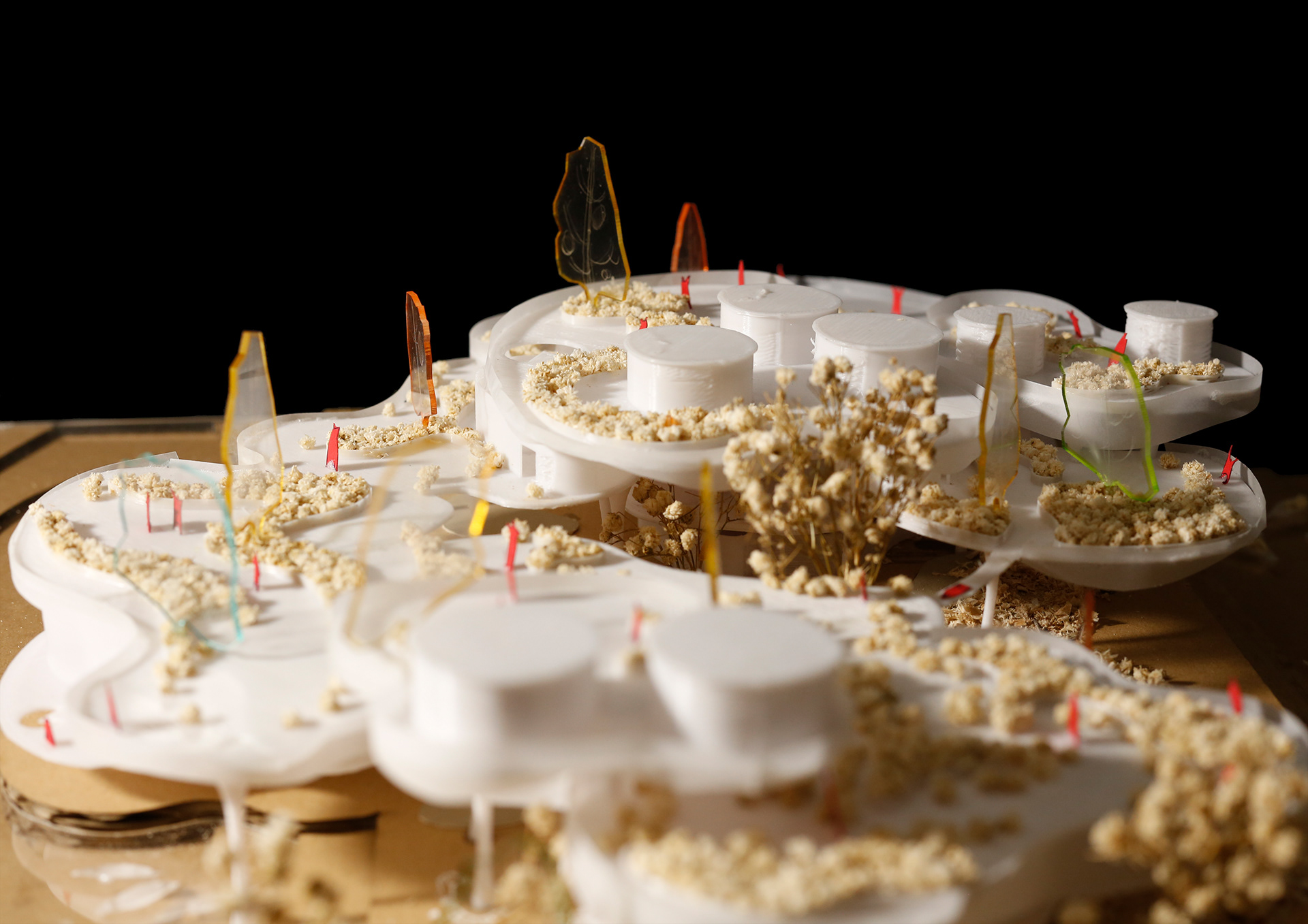 EXHIBITION CENTERS & PROMOTION OF AGRICULTURAL PRODUCTS-16