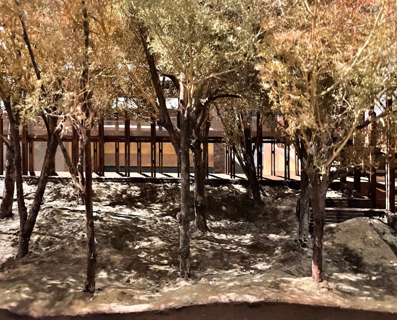 《平凡之树的再生》（聚焦“川上行”项目）丨意大利丨直向建筑-35