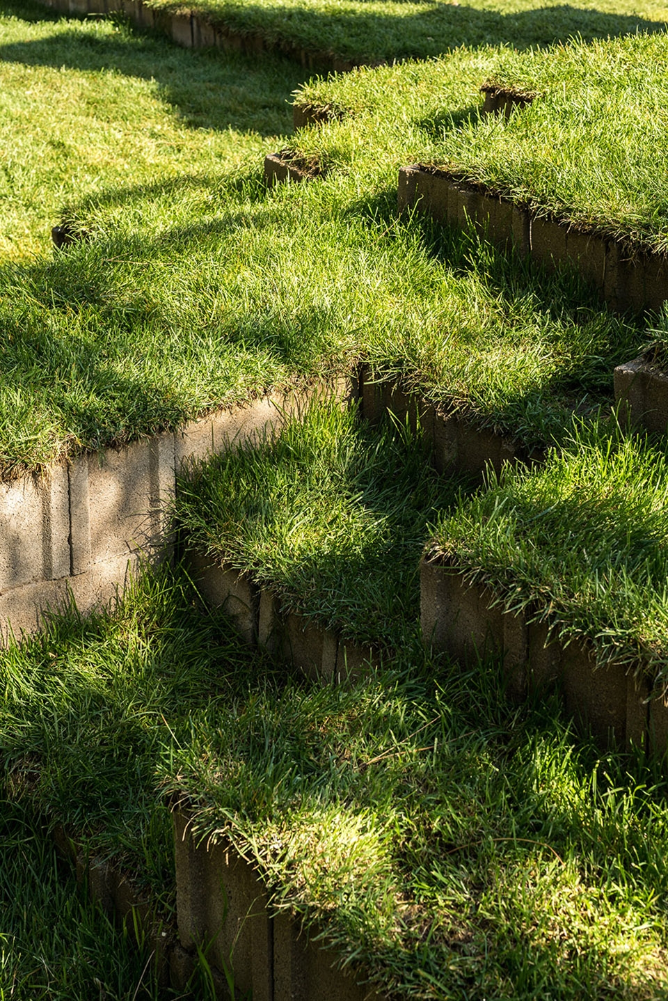 马德里戏剧学院“El Olimpo”公共空间 · 校园荒地的创意改造-23