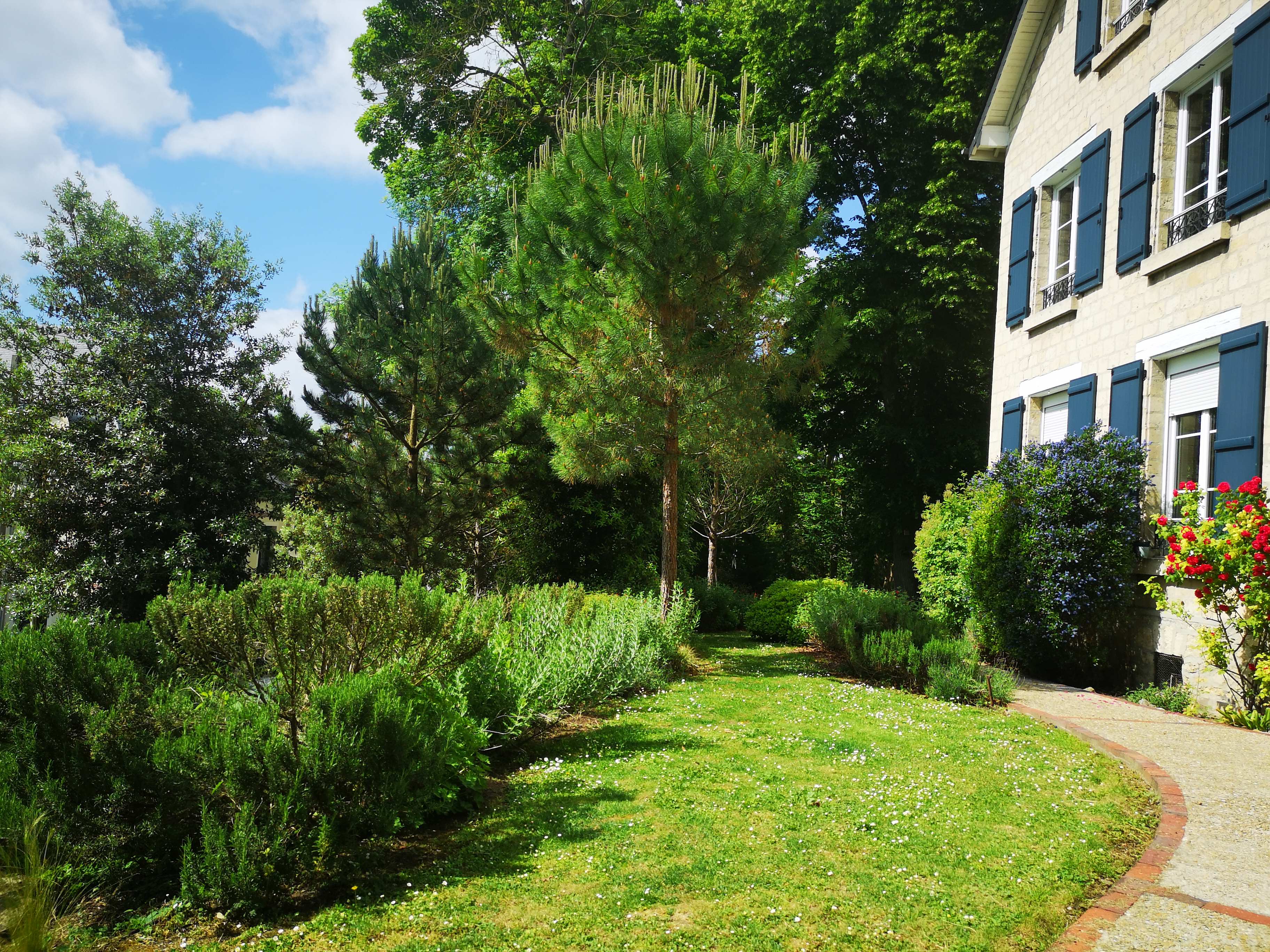 香槟苏瓦兹花园设计-1