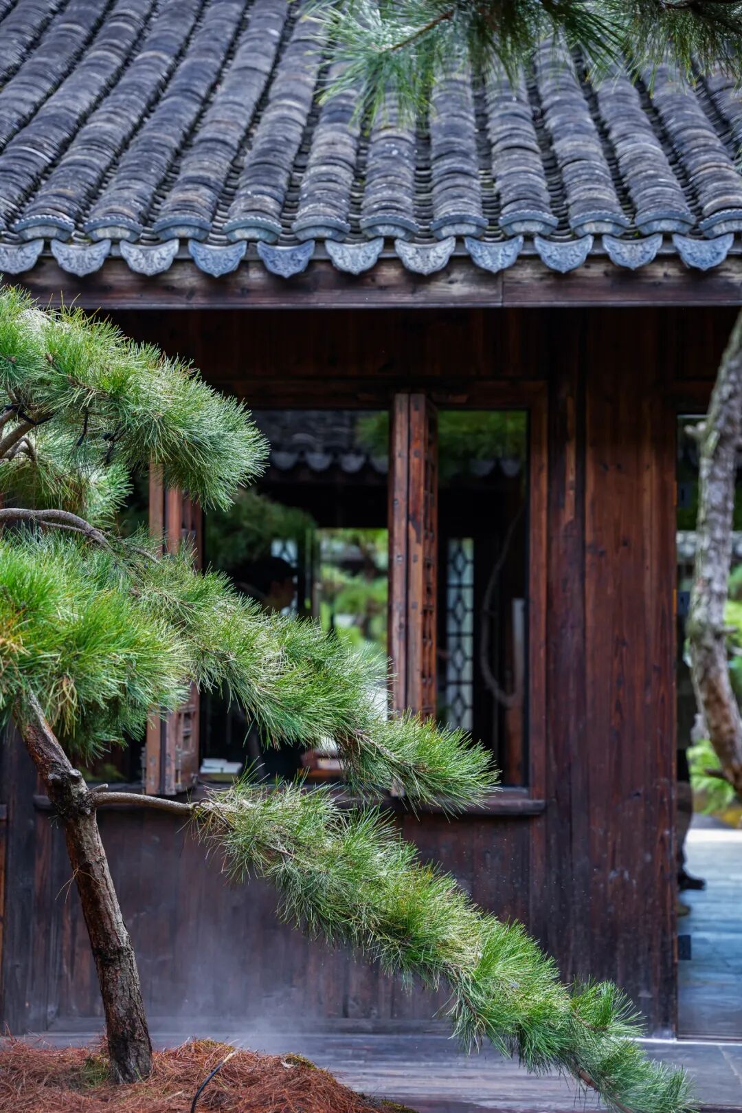 未竟园|当浦东百年历史民宅遇见京都苔寺，会生出怎样的新花园？-126