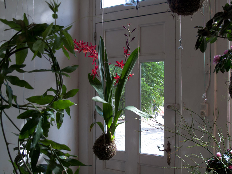 Fedor Van der Valk 打造室内绿洲 · 创意日本园林风格-27