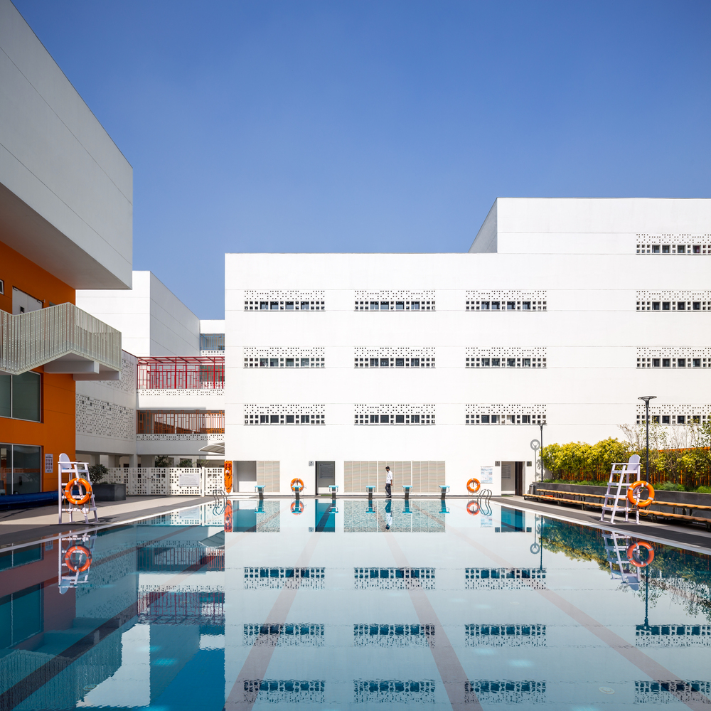 The British School  Morphogenesis-46