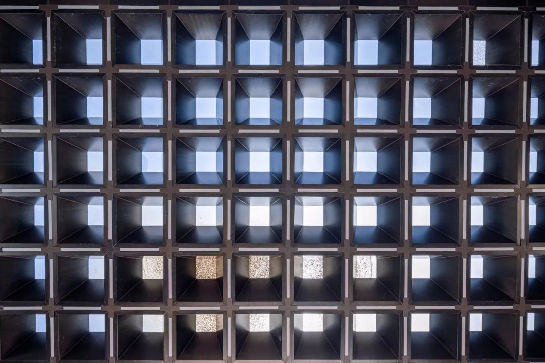 春秋金茂府 | 穿越时空的淹城梦游-38