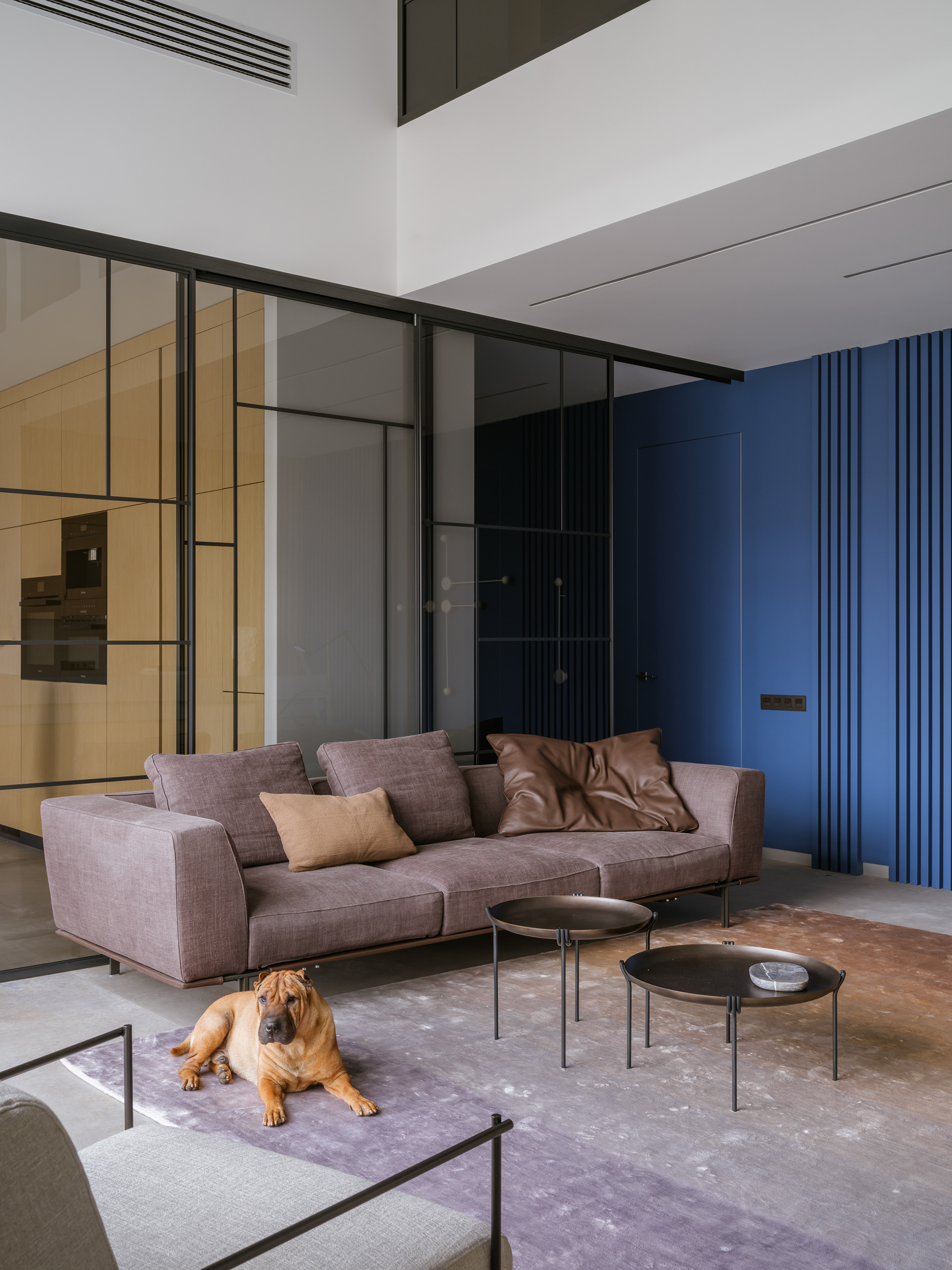 带高耸楼梯的房屋室内翻新丨E.Zakharova,MakeDesign-3