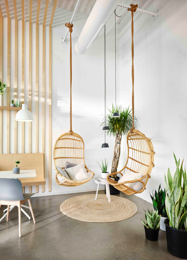 芝加哥纯绿旗舰店-15