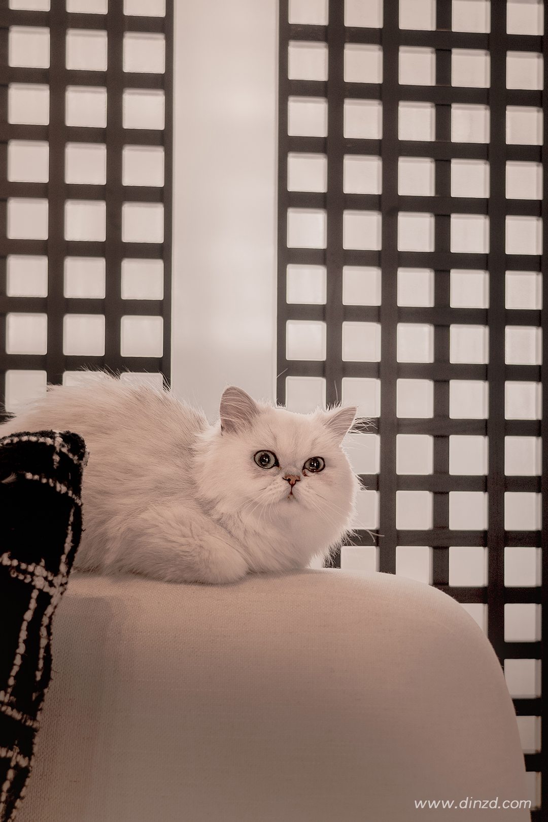 唯木空间丨中国东莞丨TD 知行空间设计-48