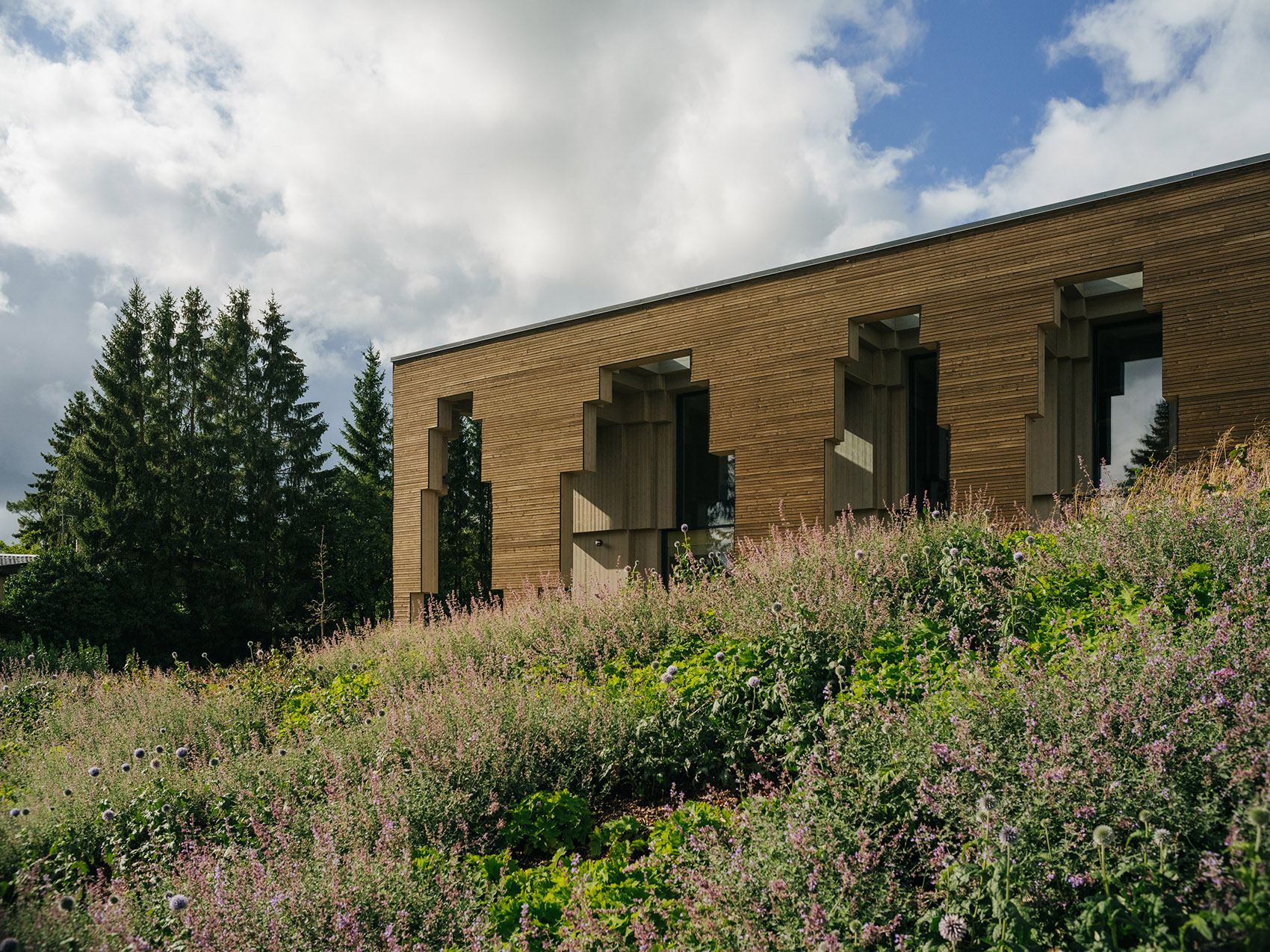 Saue 乡村市政大楼丨爱沙尼亚丨molumba-15