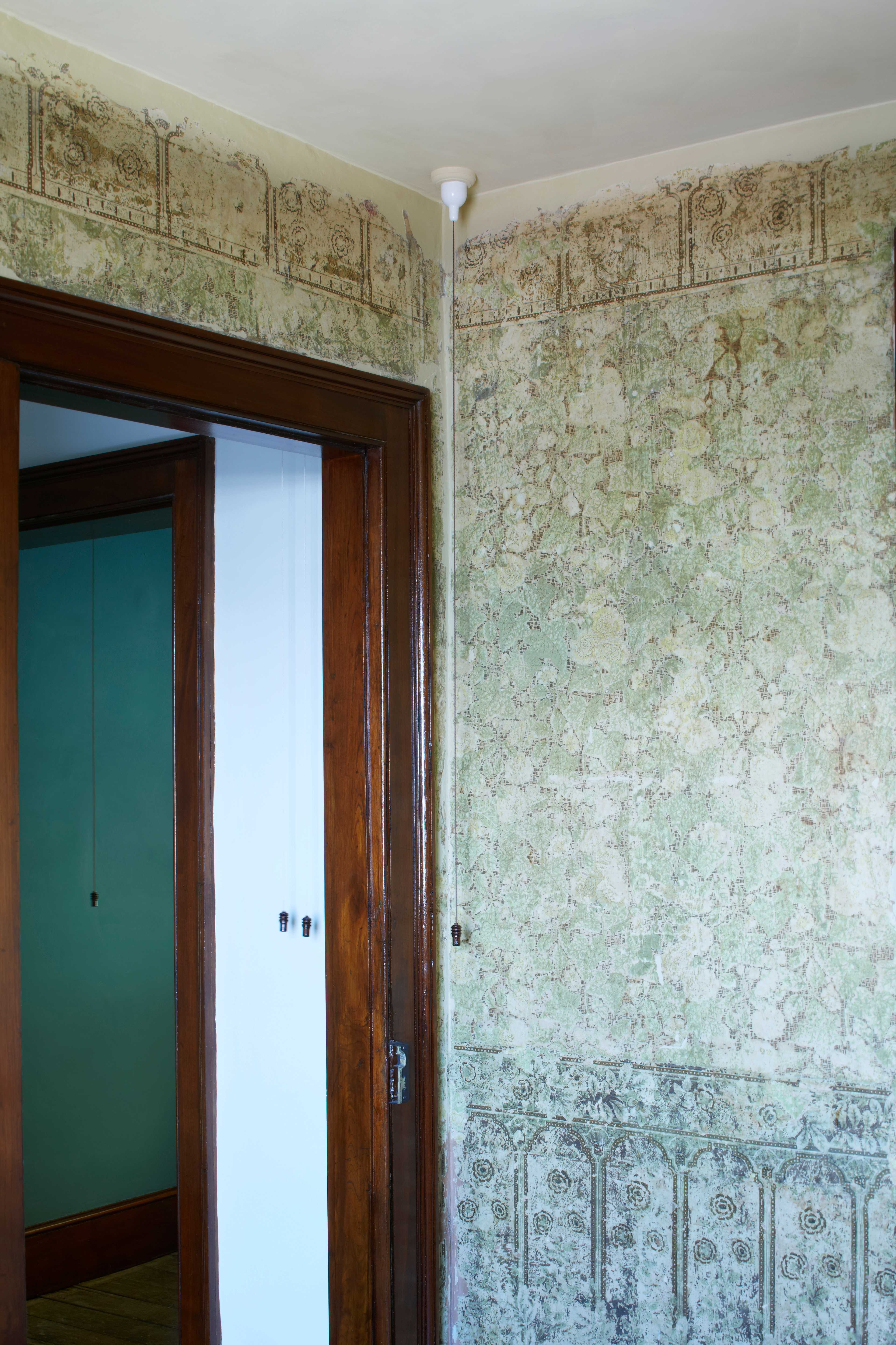 悉尼杰克逊-- 苏顿住宅 | 现代与古董的完美融合-19