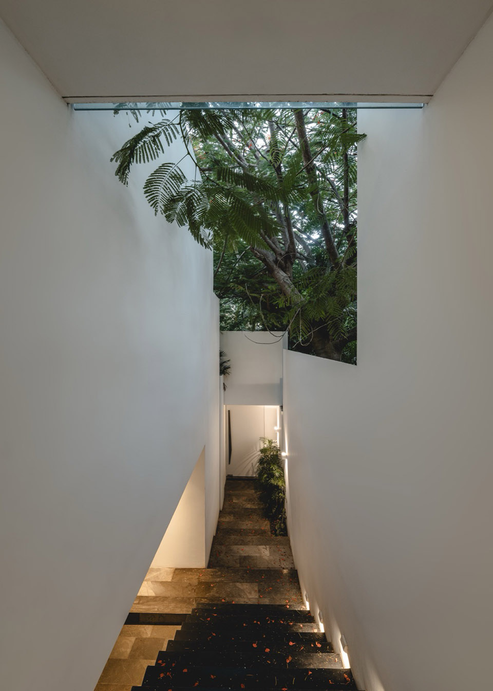 THE ASYLUM办公空间丨墨西哥丨Arkham Projects-27