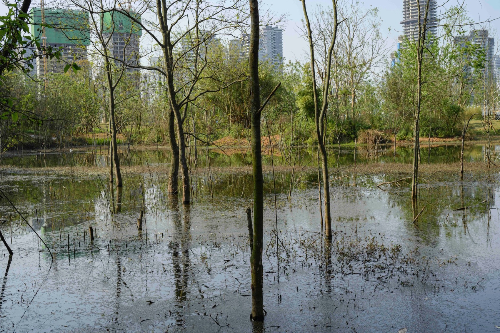 麓野公园丨中国成都丨四川乐道景观设计有限公司-230