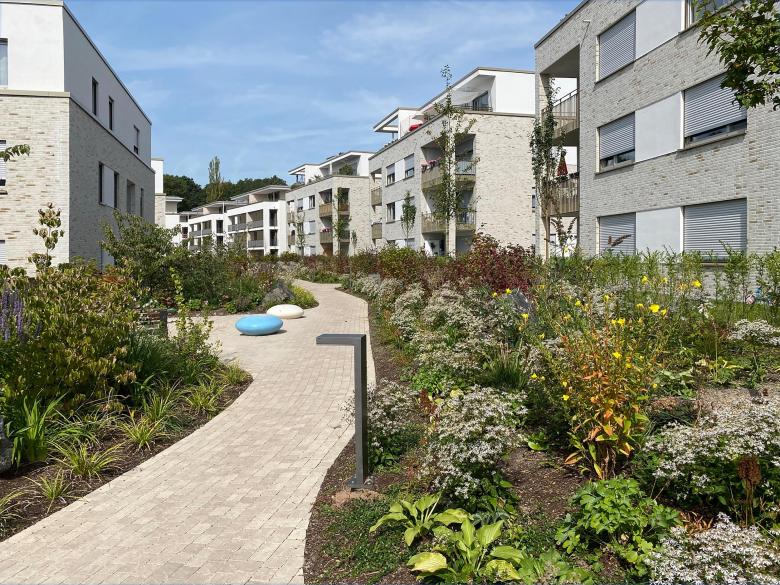 Kramm + Strigl Architekten und Stadtplaner丨Waldviertel Wiesbaden Simeonhaus Wohnbebebauung丨德国-3