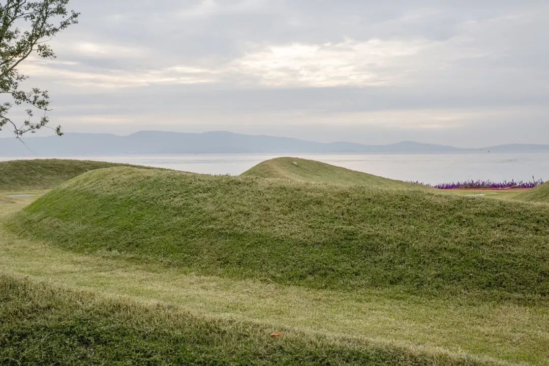 《雁归来》 | 水乡文化的现代解读-40