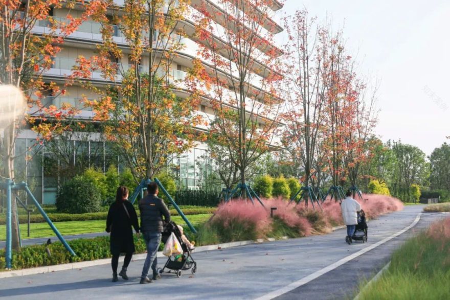 成都东安湖木棉花酒店丨中国成都丨Lab D+H,CELEC成都绿茵景园-25