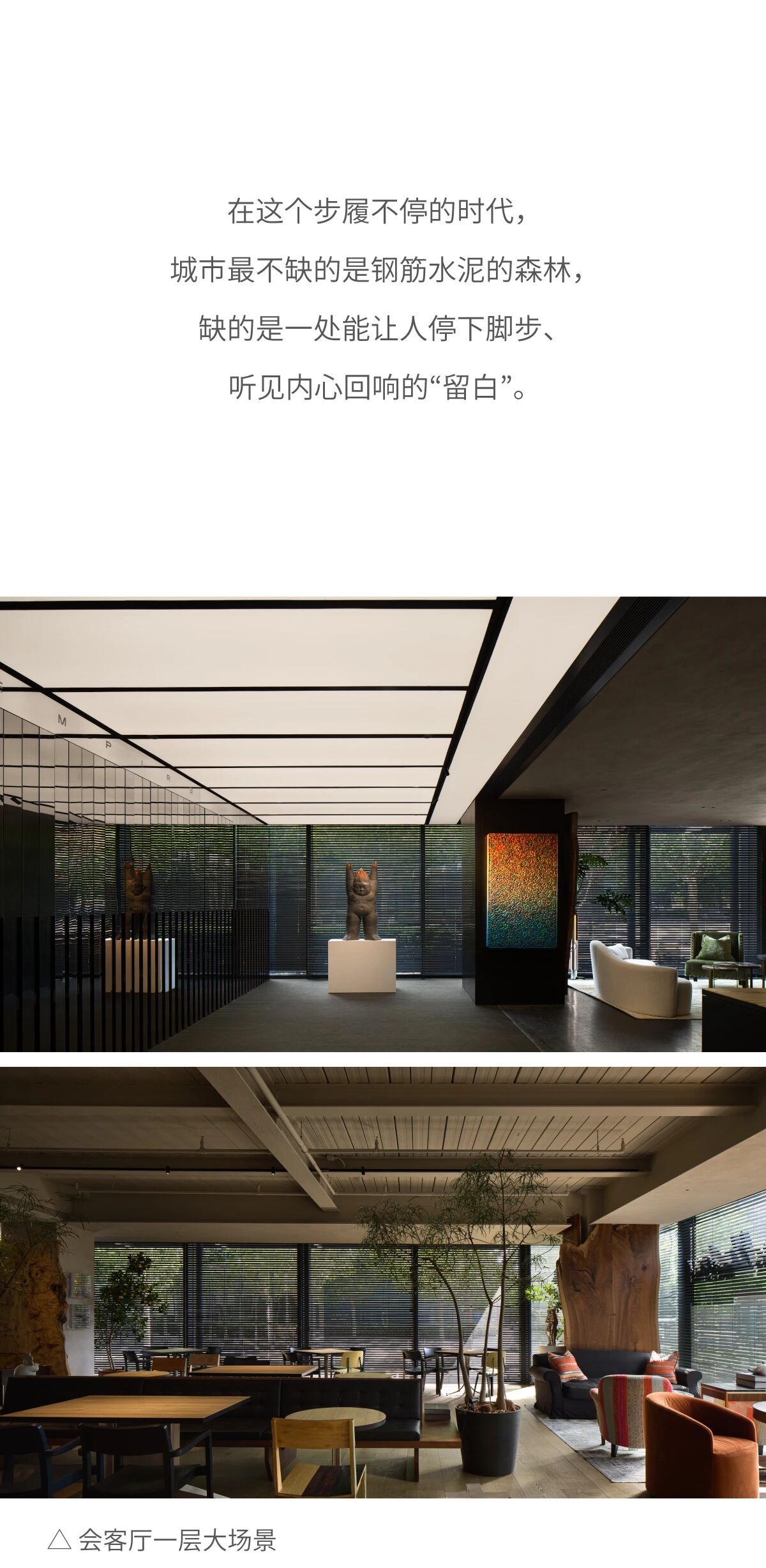 新作   自然而然，共同构筑一处关于“木”的心灵旷野丨中国北京丨关天颀 X 范轶-1