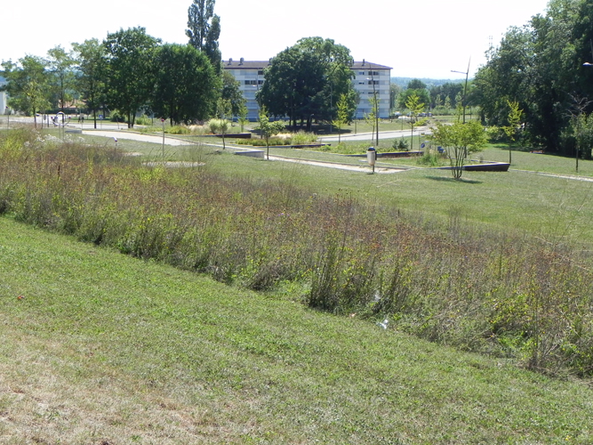 “Le Petit Bois”城市公园改造项目丨法国-9