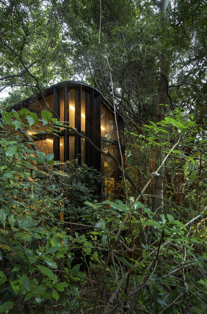 南非树屋丨南非比勒陀利亚丨Drawbox Design Studio Architects-32