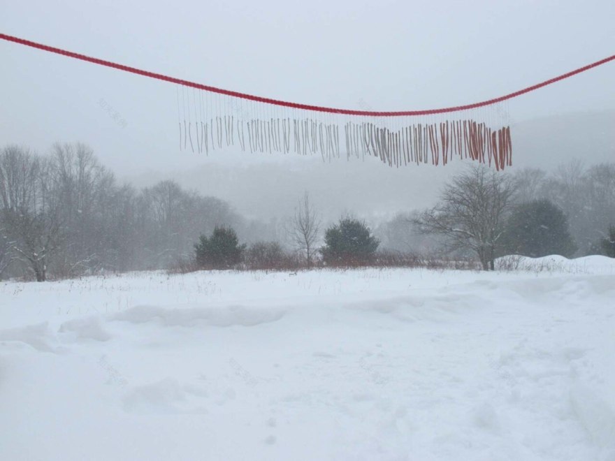 2018 悉尼双年展艺术家群像 | 多元化艺术盛宴-20