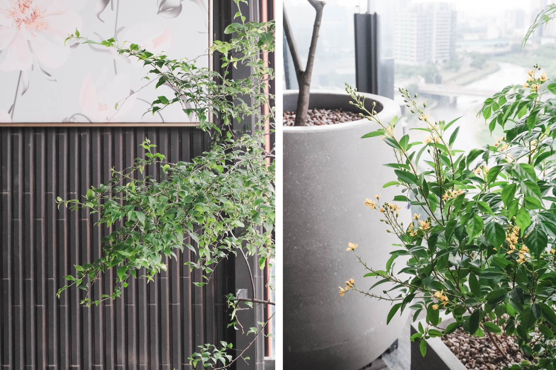 住宅案 | 中壢區 | 陽台景觀設計-8