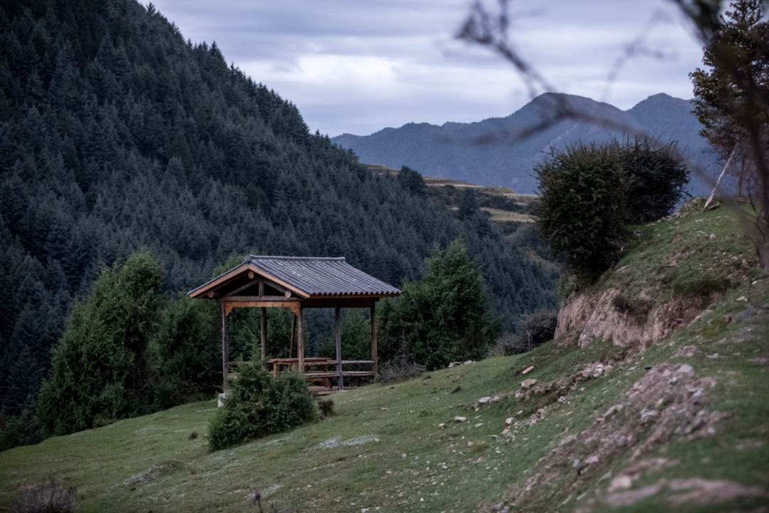 洗心院丨中国甘南丨陕西自在空间设计咨询有限公司-12
