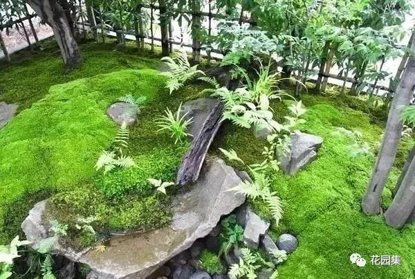 最美不过苔造园,探寻东方庭院的诗意之美-6