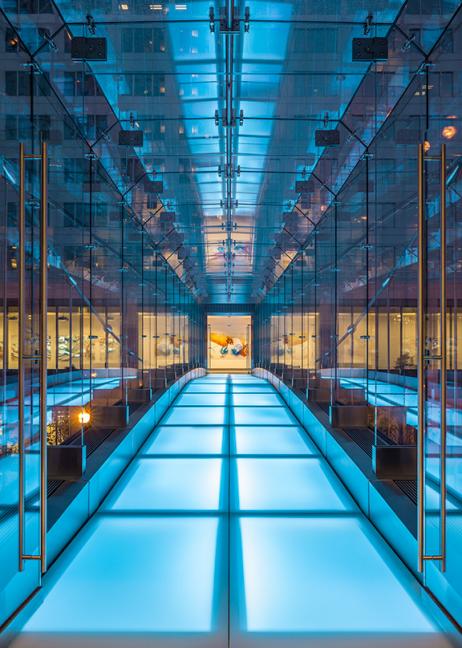 Liberty Mutual总部项目丨美国-2