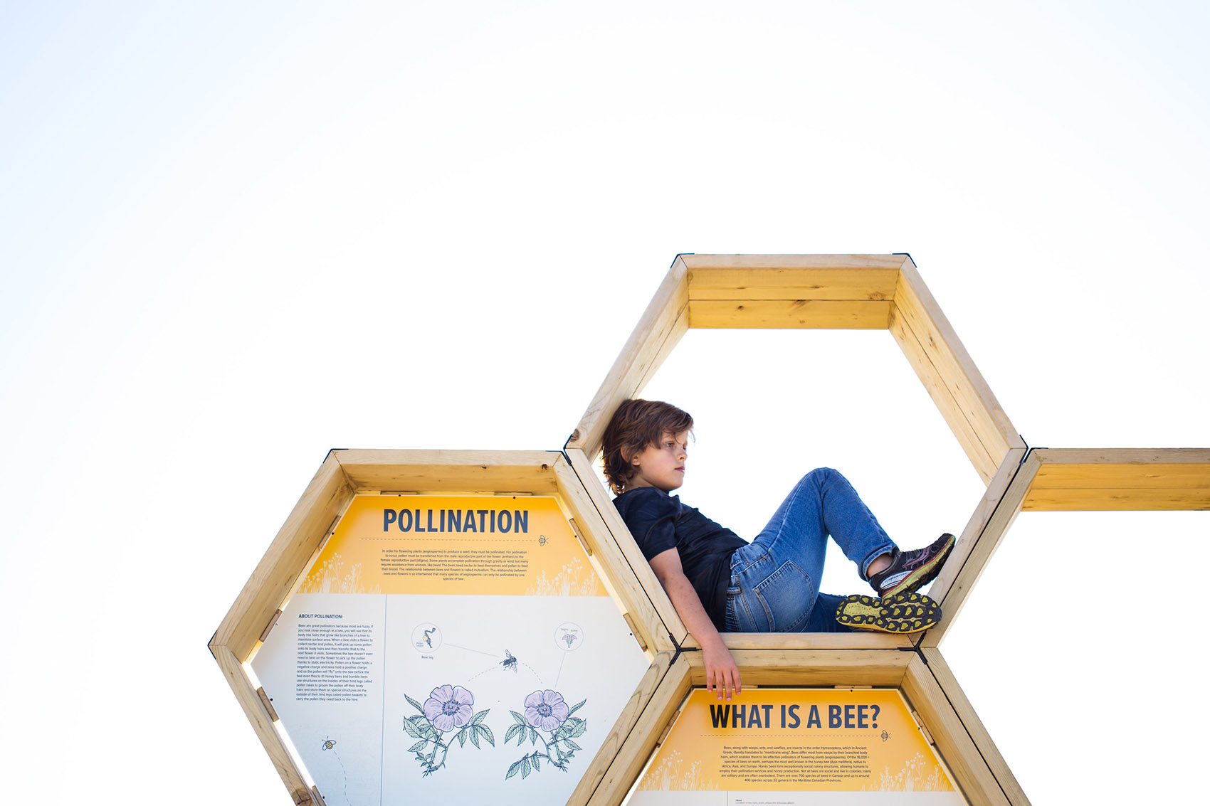 加拿大城市蜂巢装置-26