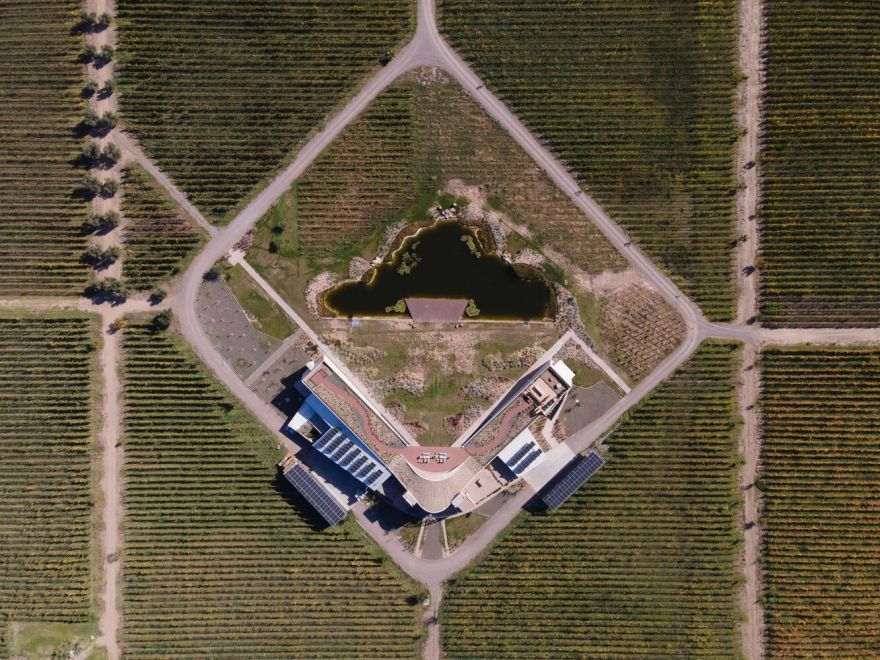 Alpamanta 酒厂·融入自然的绿色建筑-27